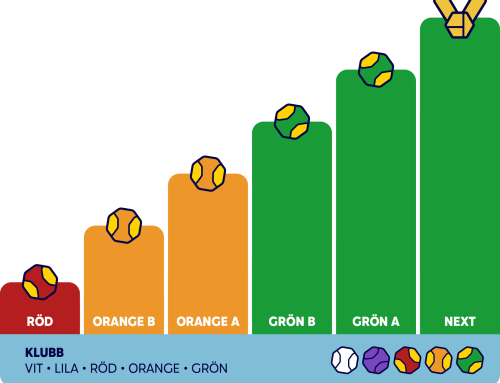 Nu lanseras ROG Touren – Nya tävlingsmodellen för barn