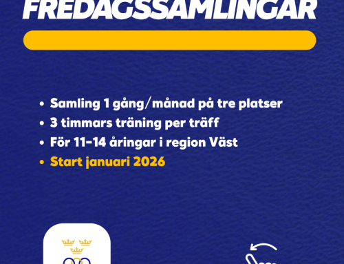 Team Väst – Fredagssamlingar