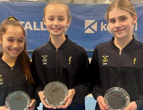 Sveriges F12-lag till slutspel