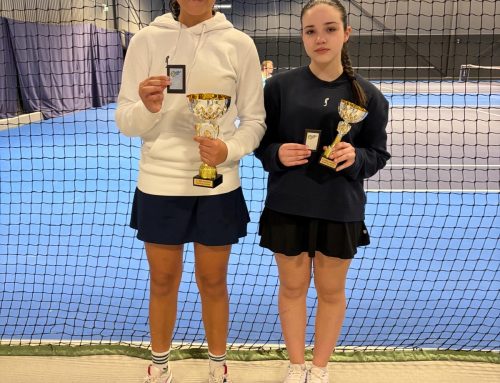 RM inne i Linköping slutspelat